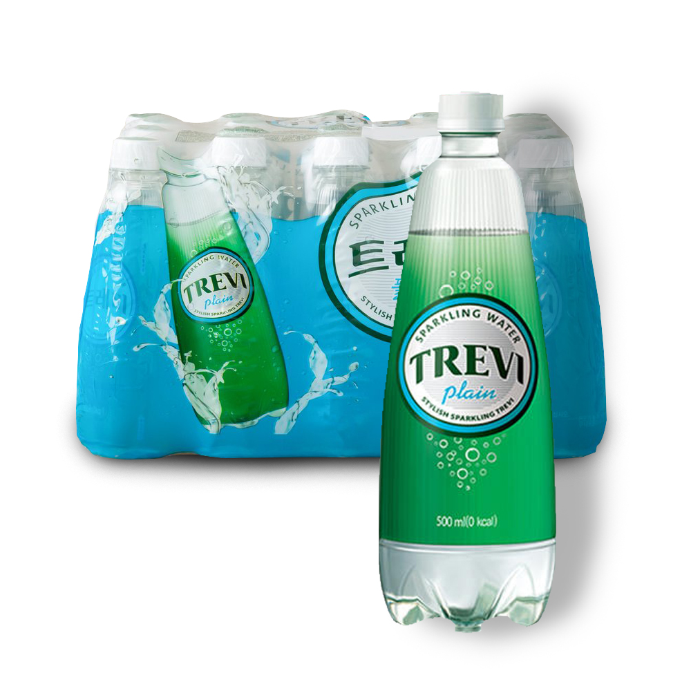 롯데칠성 트레비 탄산수 플레인 300mlPET*20 / BOX