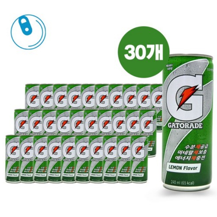 롯데칠성 게토레이 240ml x 30캔 [박스]